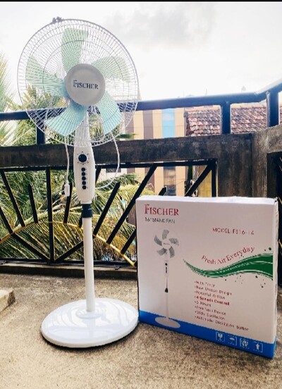 Stand fan